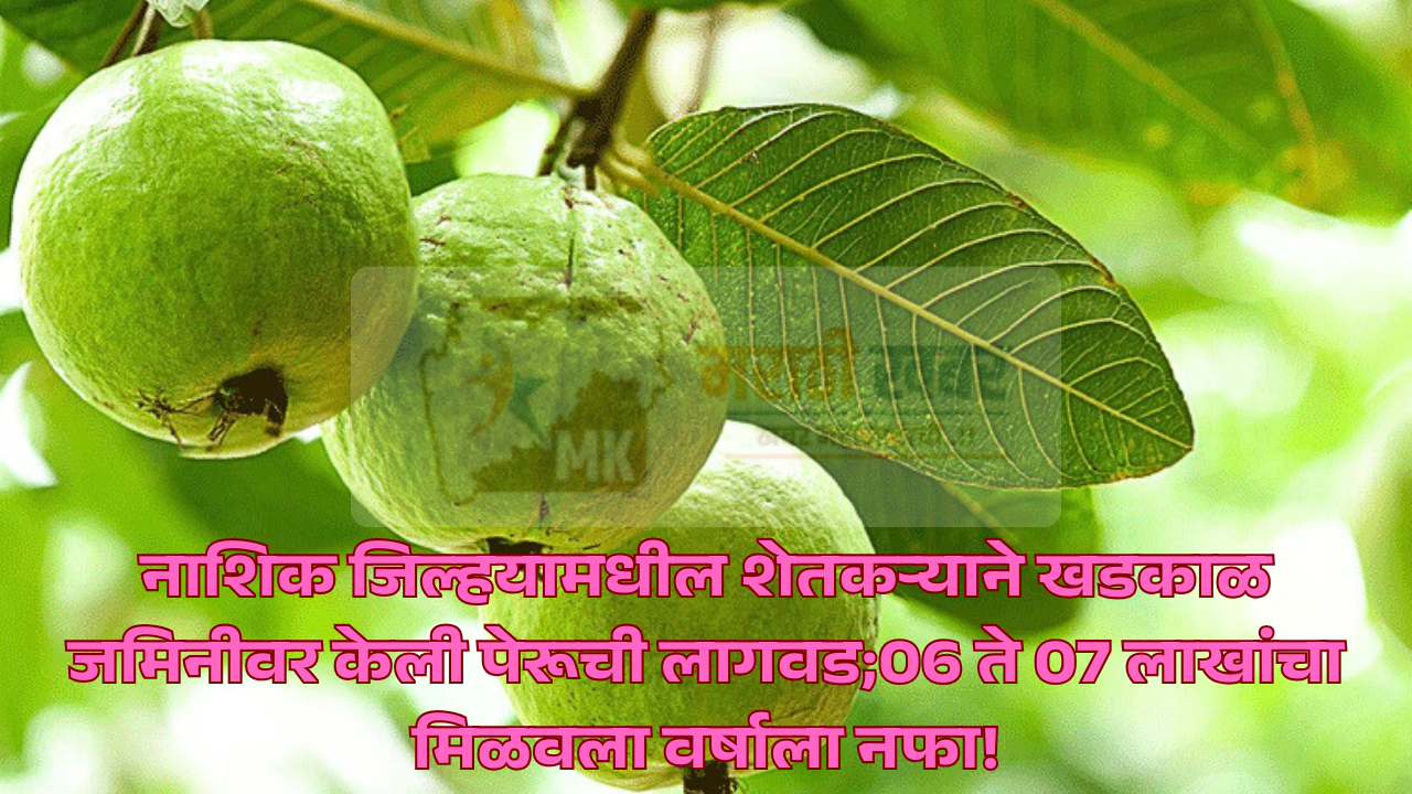 Maharashtra Farmer Success Story